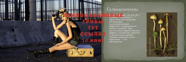 таблы Алзамай