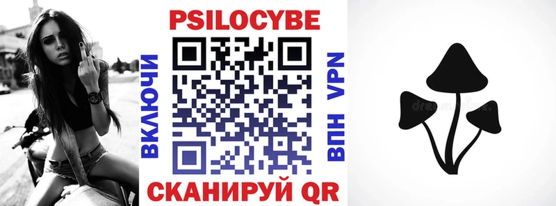 Галлюциногенные грибы Psilocybe Калязин